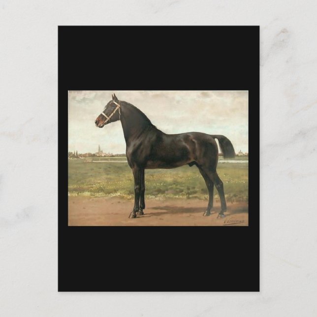 Groningen by Otto Eerelman Postcard (Front)