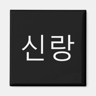 Groom Korean Hangul Sinrang Korean Fiancé Matching Magnet