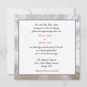 Groom parents invitation, pure white daisy flower invitation
