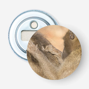 Grooming baboons bottle opener