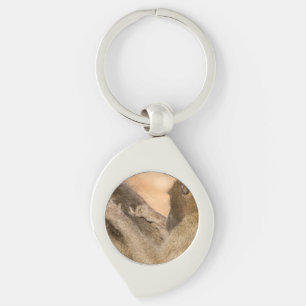Grooming baboons key ring