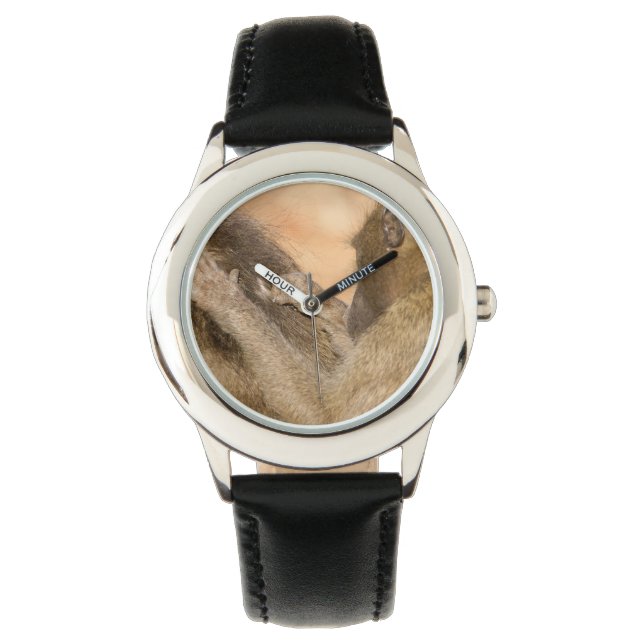 Grooming baboons watch (Front)