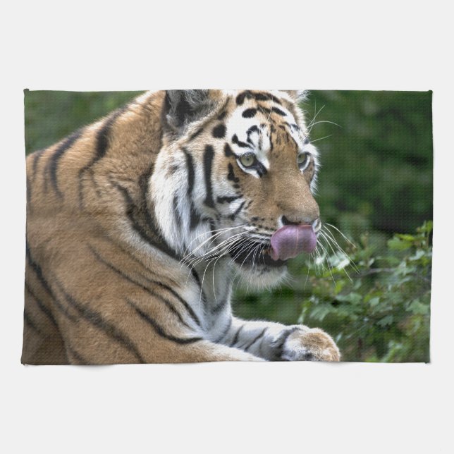 Grooming Tiger Tea Towel (Horizontal)