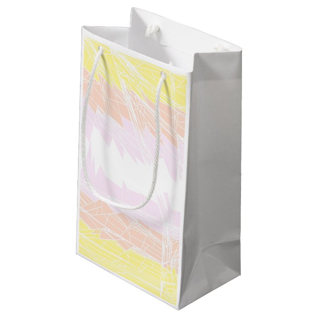 Groovy Geometric Abstract Pangender Pride Flag Small Gift Bag (Back Angled)