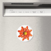 Groovy Retro Orange Hippie Daisy Flower Floral