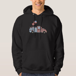Groovy Retro Truck 4th Of July Fireworks Patriotic Hoodie