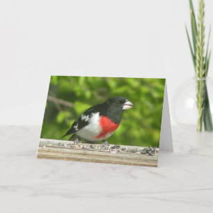 Grosbeak Thinking Of You Card (Large Print)