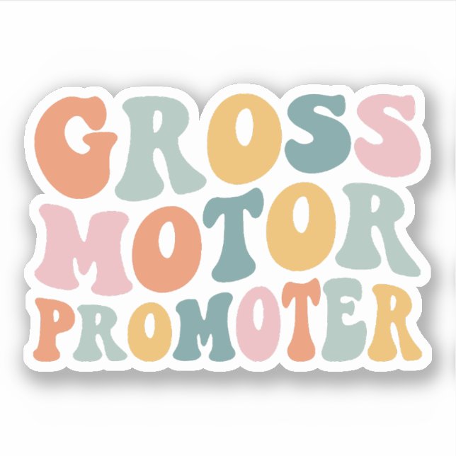 Gross Motor Promoter Paediatrics Physical Therapy  (Front)