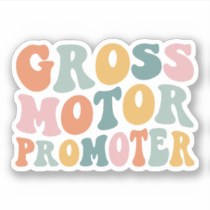 Gross Motor Promoter Pediatric Physical Therapy PT