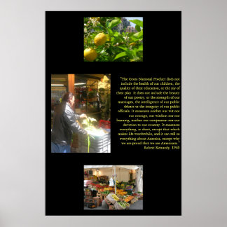 Gross National Product Poster