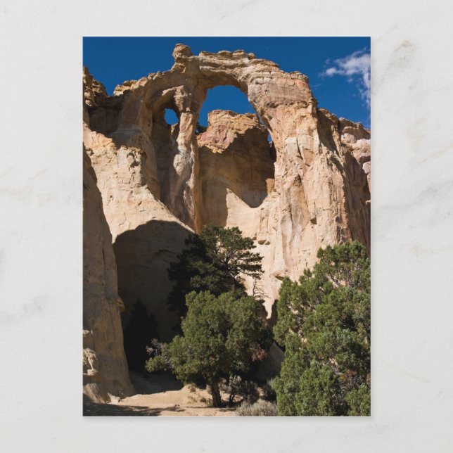 Grosvenor Arch Postcard (Front)