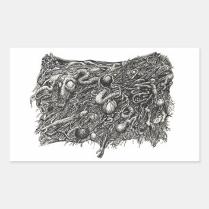 Grotesque Number 1, Flat Rectangular Sticker