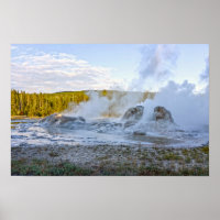 Grotto Geyser, Yellowstone National Park