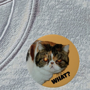 Grouchy Grumpy Cat What? Funny Photographic 7.5 Cm Round Badge