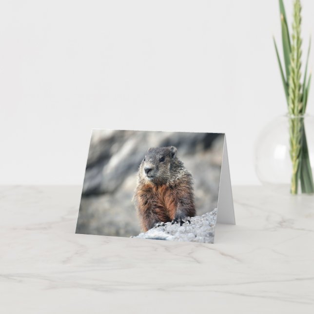 Ground Hog Card (Front)