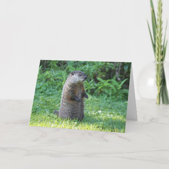 Ground Hog greeting card (Front)
