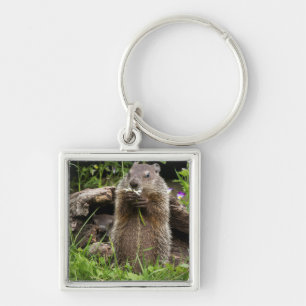Ground Hog Munching on a Flower Key Ring