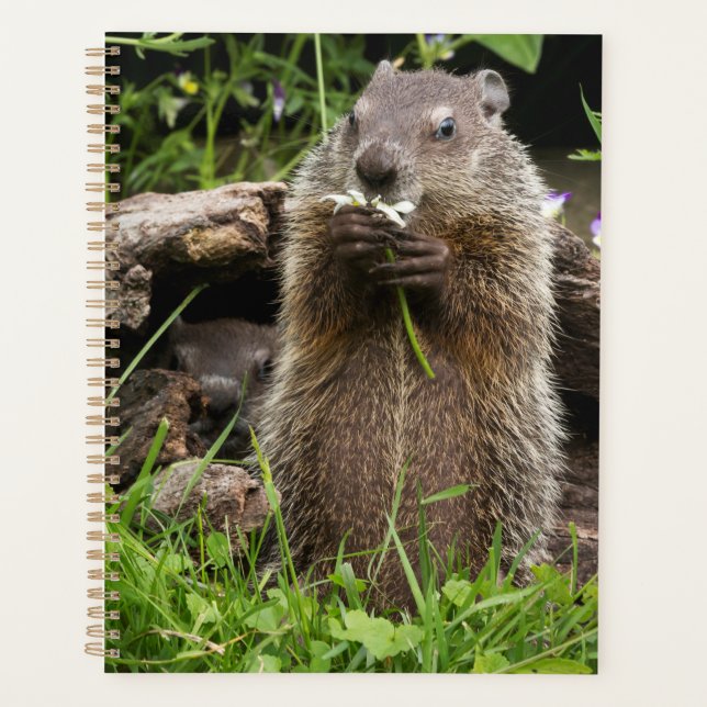 Ground Hog Munching on a Flower Planner (Front)