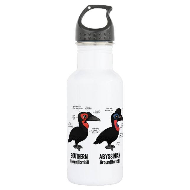 Ground Hornbil Statistics 532 Ml Water Bottle (Front)