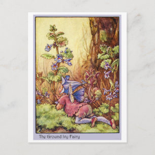 Ground Ivy Fairy Postcard