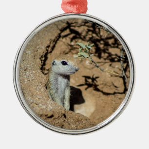 Ground Squirrel Ceramic Ornament