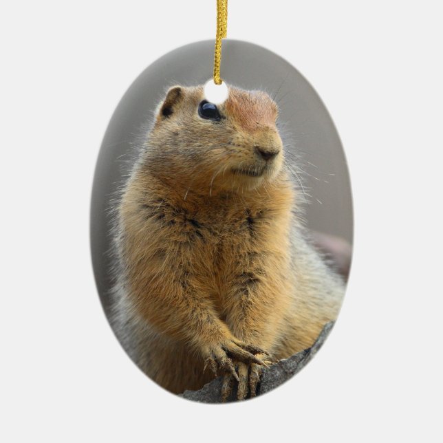 Ground Squirrel Ceramic Tree Decoration (Front)