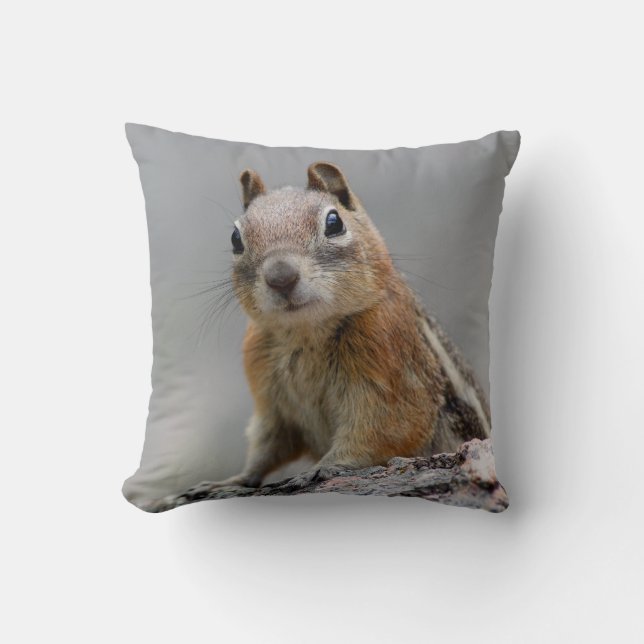 Ground Squirrel Cushion (Front)
