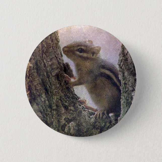Ground Squirrel Grunge 6 Cm Round Badge (Front)