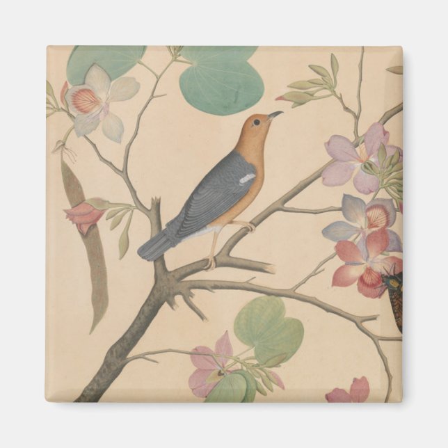 Ground Thrush and Moth on an Orchid Branch Magnet (Front)