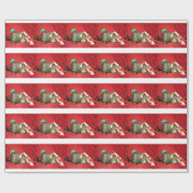 Groundhog Bessie and Red Squirrel Bluster Giftwrap