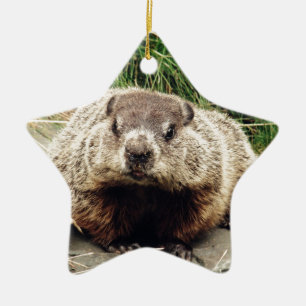 Groundhog Ceramic Tree Decoration