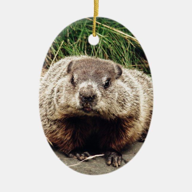 Groundhog Ceramic Tree Decoration (Front)