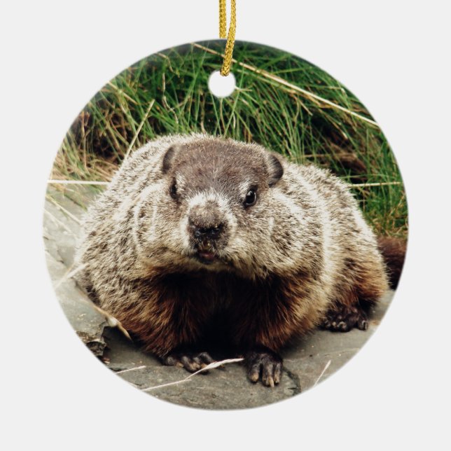 Groundhog Ceramic Tree Decoration (Front)