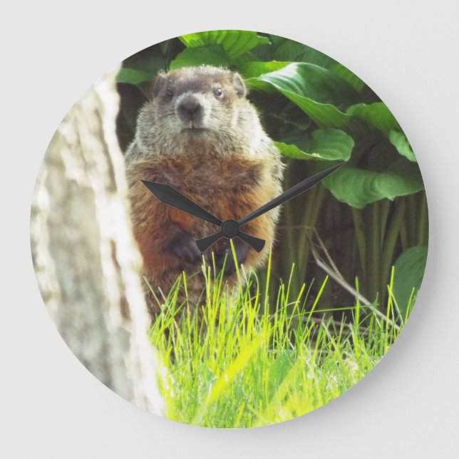 Groundhog clock (Front)