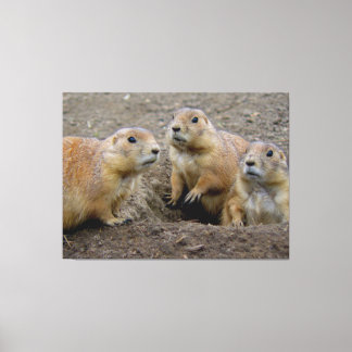 Groundhog Day Canvas Print