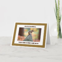 Groundhog Day Card