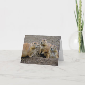 Groundhog Day Card