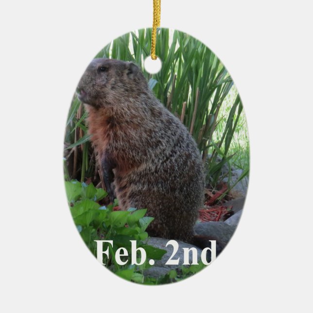 Groundhog Day Ceramic Tree Decoration (Front)