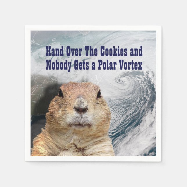Groundhog Day Polar Vortex Napkin (Front)