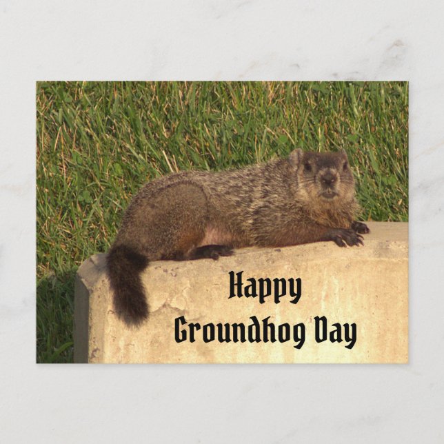 Groundhog Day Postcard (Front)