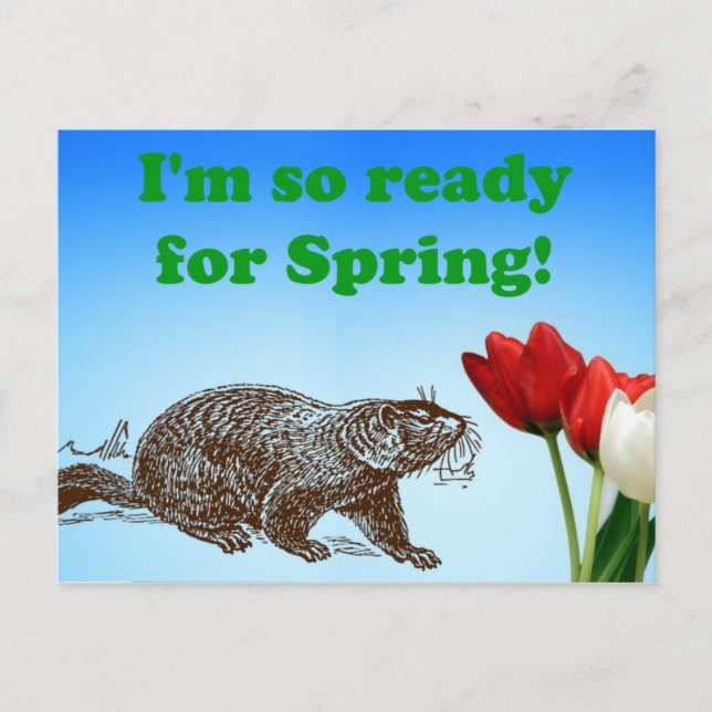 Groundhog Day So Ready for Spring Holiday Postcard (Front)