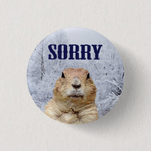 Groundhog Day Sorry 3 Cm Round Badge