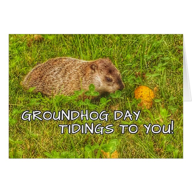Groundhog Day tidings to you! greeting cards (Front Horizontal)