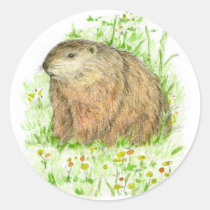 Groundhog Day Woodchuck Rodent Animal Classic Round Sticker