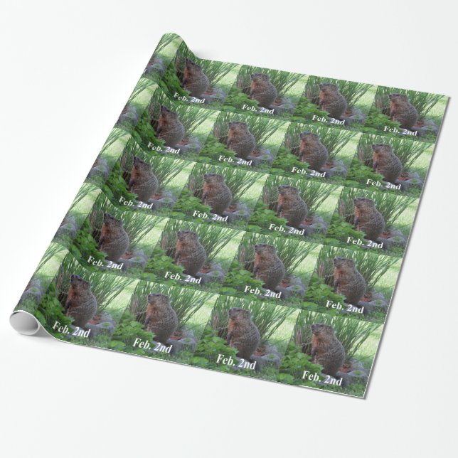 Groundhog Day Wrapping Paper (Unrolled)