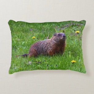 Groundhog Decorative Cushion