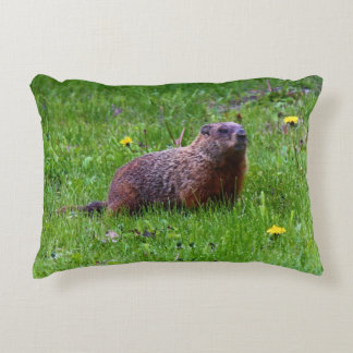 Groundhog Decorative Cushion