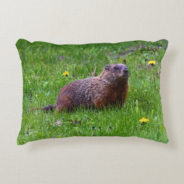Groundhog Decorative Cushion (Front)