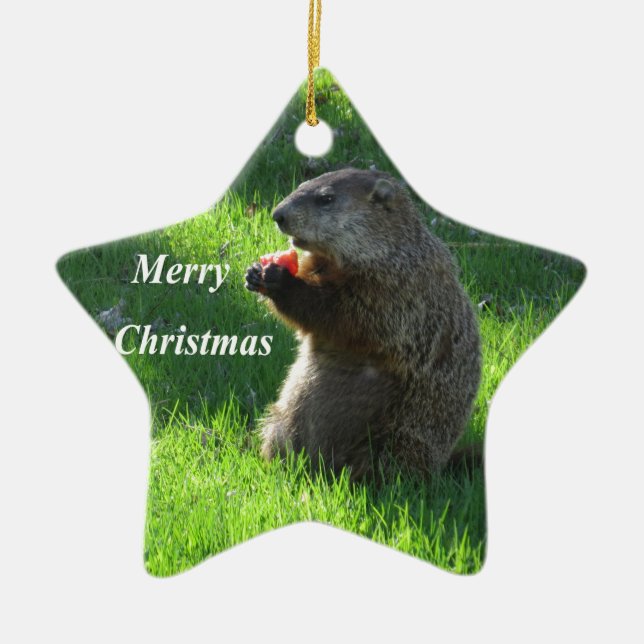 Groundhog eating ceramic tree decoration (Front)