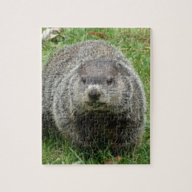 Groundhog eating jigsaw puzzle (Vertical)